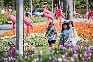 BIB: 
                            <button type="button" onclick="openModal(27794155)" class="btn btn-primary btn-sm float-right btn-popup" data-toggle="modal" data-target=".modal-high-quality">
                        <i class="fas fa-shopping-cart"></i> Add to Cart
                    </button>
                                            <button type="button" onclick="isThisMe(27794155, true)" class="btn btn-success btn-sm float-right btn-popup btn-isme hidden" data-toggle="tooltip" data-placement="bottom" title="นี่คือรูปของคุณใช่ไหม คลิกที่นี่เพื่อเอาเข้าอัลบั้ม">
                        <i class="fas fa-plus"></i> Add to album
                    </button>
                    <button type="button" onclick="isThisMe(27794155, false)" class="btn btn-warning btn-sm float-right btn-popup btn-isnotme hidden">
                        <i class="fas fa-ban"></i> Remove from album
                    </button>